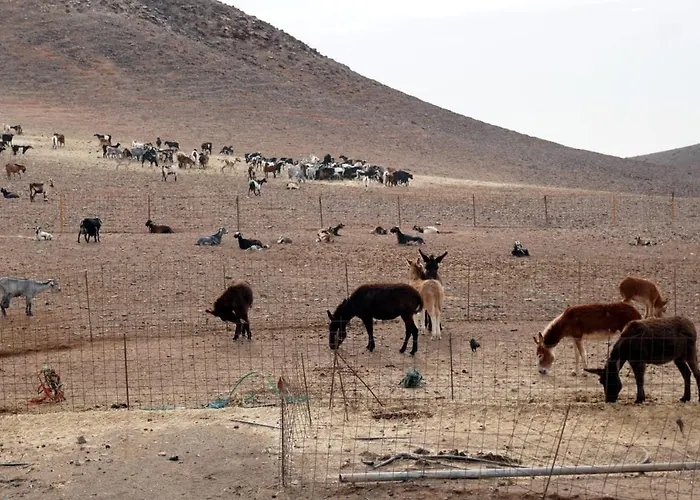 Apartment Holamigos *