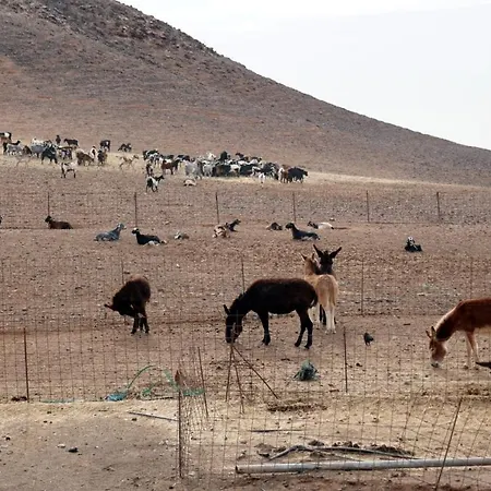 Lejlighed Holamigos *